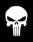 pic for The punisher